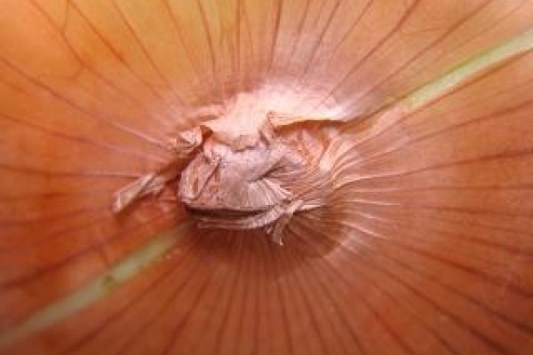 Где купить наркоты